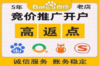 某知名品牌SEM广告投放的创意与执行